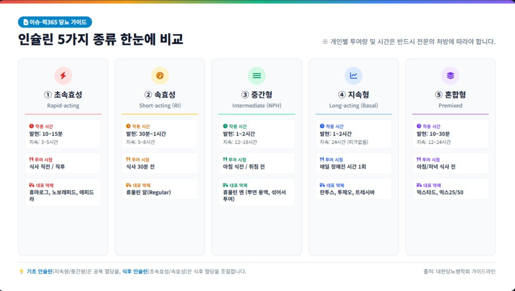 인슐린 종류 5가지 특징 비교 인포그래픽