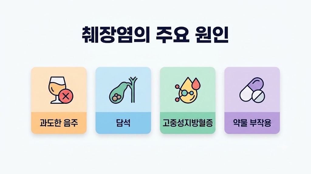 췌장염 증상 유발하는 주요 원인 인포그래픽 — 음주, 담석, 고지혈증