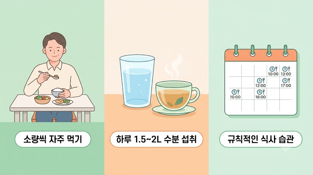 규칙적인 식사·소량씩 여러 번 먹기·충분한 수분 섭취를 나타낸 생활습관 일러스트