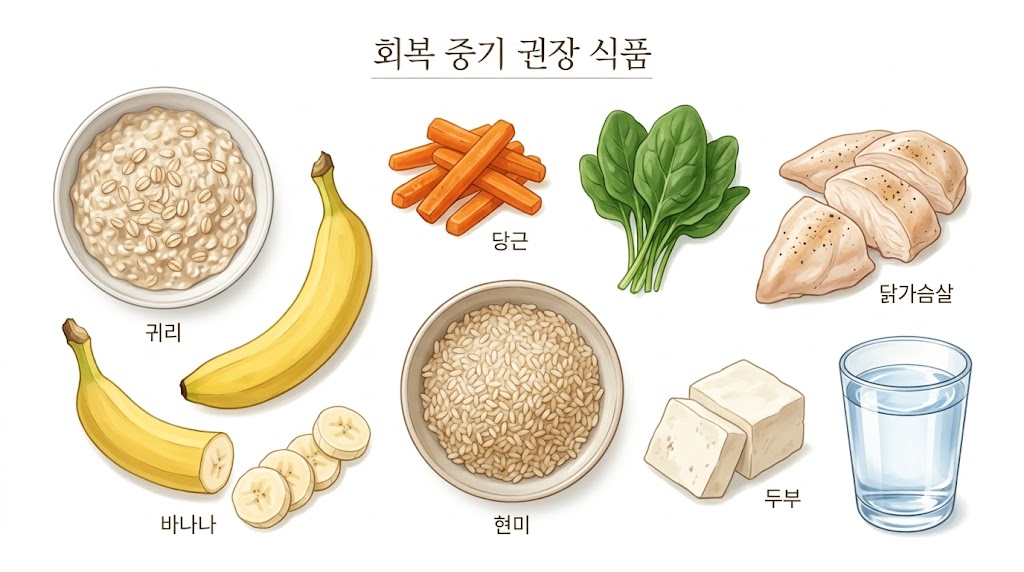 회복 중기 식단 확장 — 고섬유질 채소, 통곡물, 저지방 단백질 식품 구성 일러스트