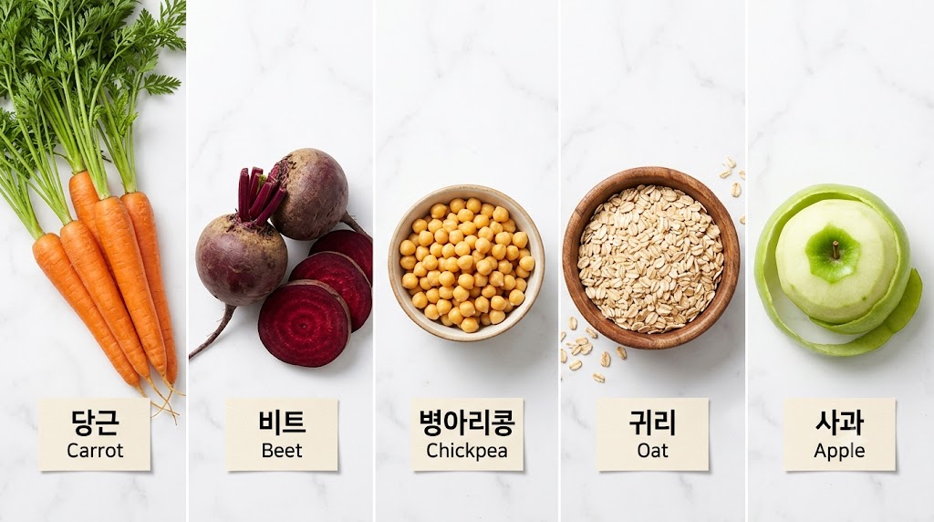 담낭 수술 후 섬유질이 담즙산을 흡착하는 과정 일러스트