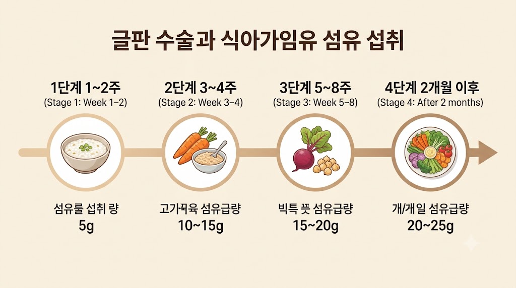 담낭 수술 후 단계별 섬유질 식단 구성 타임라인 일러스트