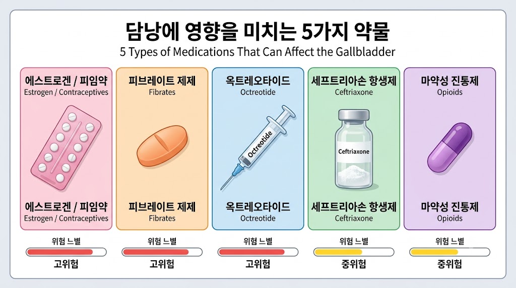 담석 유발 대표 약물 5가지 종류별 비교 인포그래픽