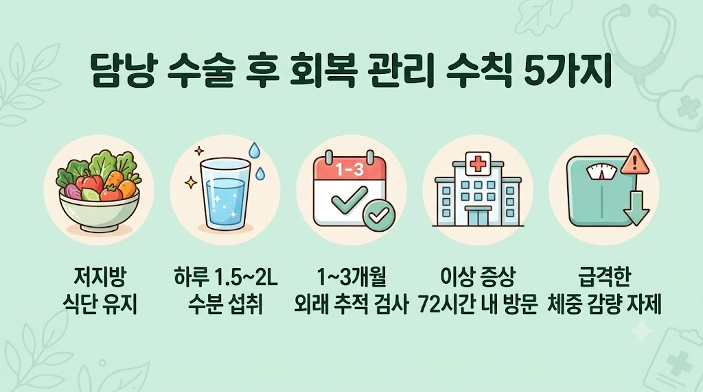 담낭 수술 후 저지방 식단·수분 섭취·정기 검진 등 회복 관리 수칙을 담은 생활 가이드 인포그래픽