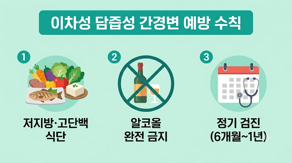 이차성 담즙성 간경변 예방 생활 관리 — 저지방 식단·금주·정기 검진 인포그래픽