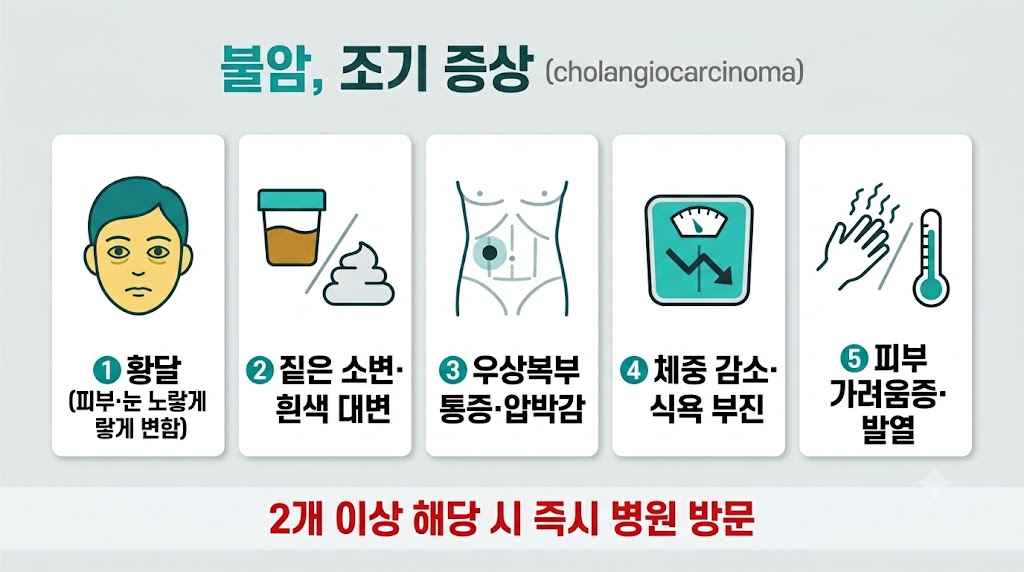 담관암 초기증상 자가진단 체크리스트 — 황달·우상복부 통증·체중 감소·가려움증·발열 5가지