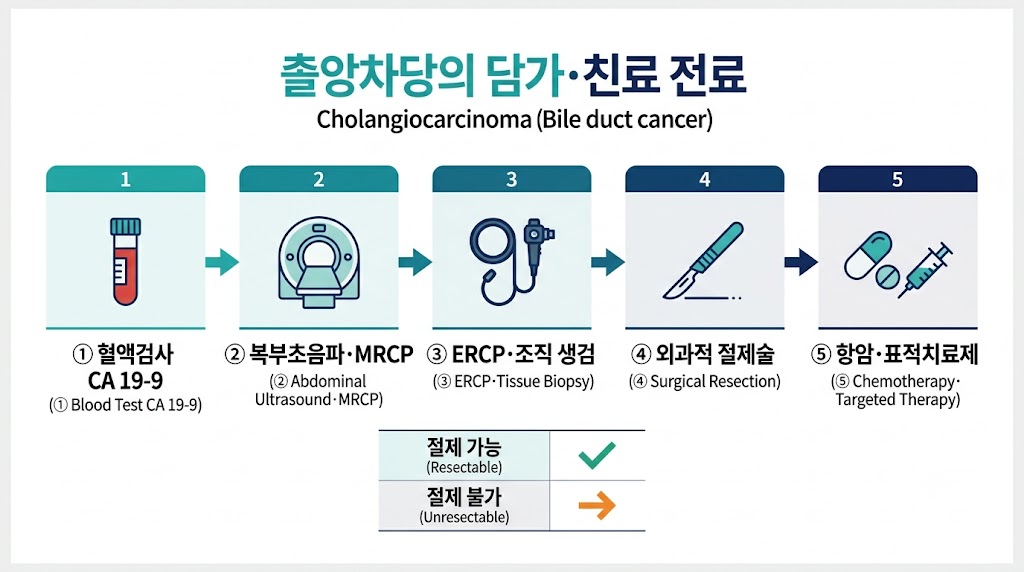 담관암 진단 및 치료 흐름도 — 혈액검사·MRCP·내시경·수술·항암요법 단계별 안내