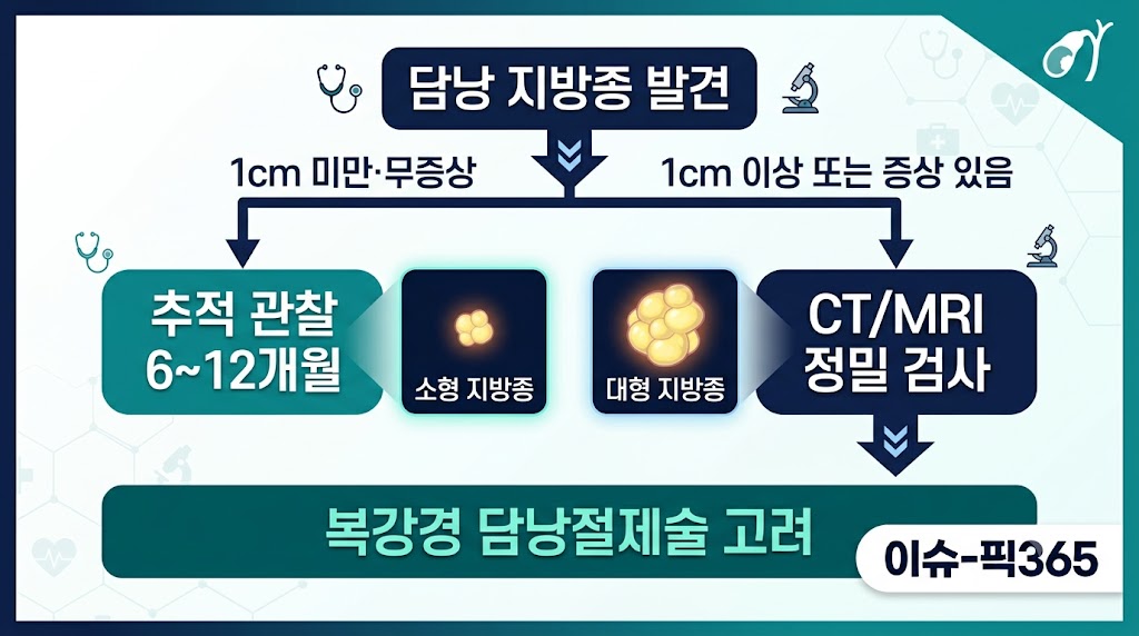 담낭 지방종 크기별 치료 결정 알고리즘 인포그래픽