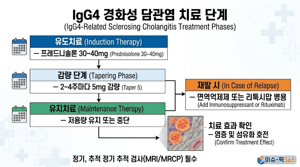 IgG4 관련 경화성 담관염 스테로이드 치료 단계 및 재발 관리 흐름도