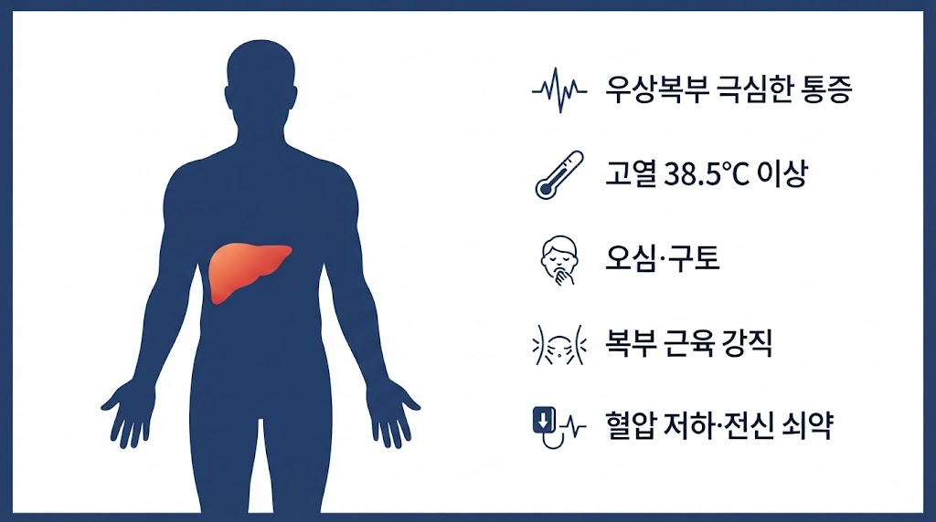 기종성 담낭염 초기증상 통증 위치 자가진단 체크리스트 인포그래픽