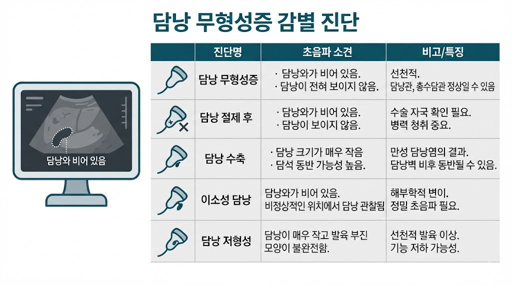  담낭 무형성증 진단 — 복부 초음파·CT·MRI 검사 비교 안내