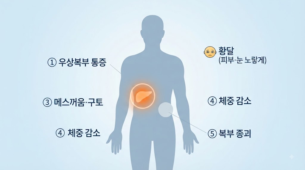 담낭암 초기증상 — 우상복부 통증 위치와 황달 자가진단 체크리스트