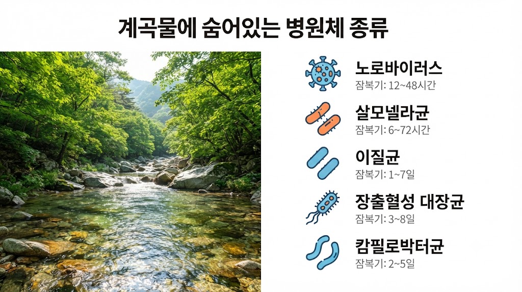 수인성 감염병 원인균 계곡 물 오염 인포그래픽