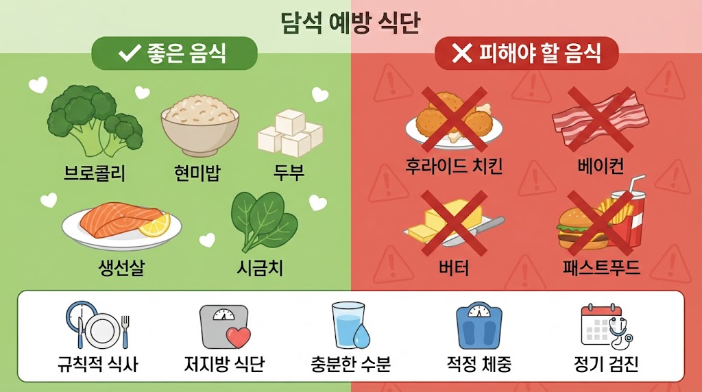 총담관 담석증 예방 식단 — 저지방 고섬유 음식 재발 방지 가이드