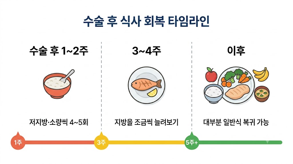 담낭 수술 후 시기별 식단 변화 3단계 — 초기·회복기·일반식 타임라인
