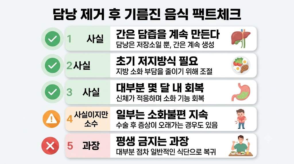 담낭 제거 후 기름진 음식 팩트체크 5가지 — 사실과 과장 구분 인포그래픽