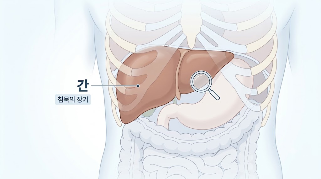 침묵의 장기 간 - 통증 없이 진행되는 간 손상 개념
