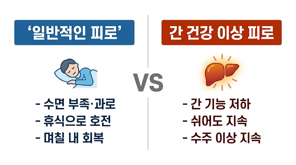 일반적인 피로와 간 건강 이상으로 인한 피로를 비교하는 표 형식 인포그래픽