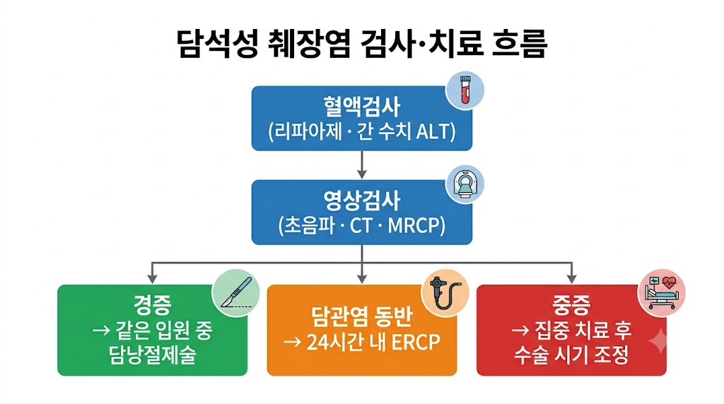 담석성 췌장염 진단·치료 흐름도 — 혈액검사·영상검사·ERCP·담낭절제술 시기