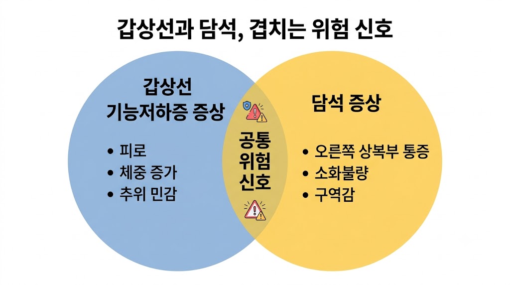  갑상선 기능저하증과 담석 증상이 겹치는 위험 신호
