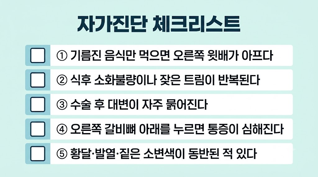 담낭 상태 자가진단 체크리스트 5가지 인포그래픽