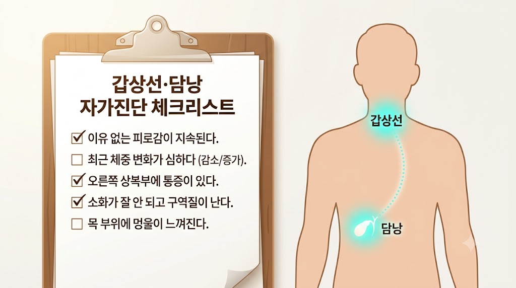 갑상선·담낭 건강 자가진단 체크리스트