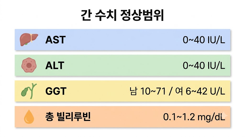 간 수치 정상범위 표 — AST·ALT·GGT·빌리루빈 기준치 인포그래픽